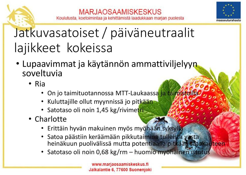 kg/rivimetri Charlotte Erittäin hyvän makuinen myös myöhään syksyllä Satoa päästiin keräämään pikkutaimina