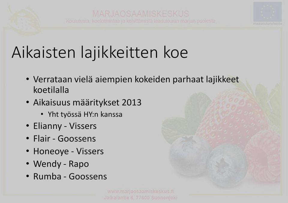 määritykset 2013 Yht työssä HY:n kanssa Elianny -