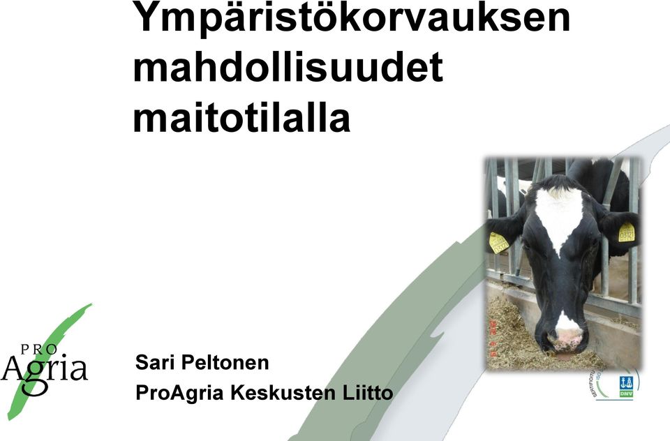 maitotilalla Sari