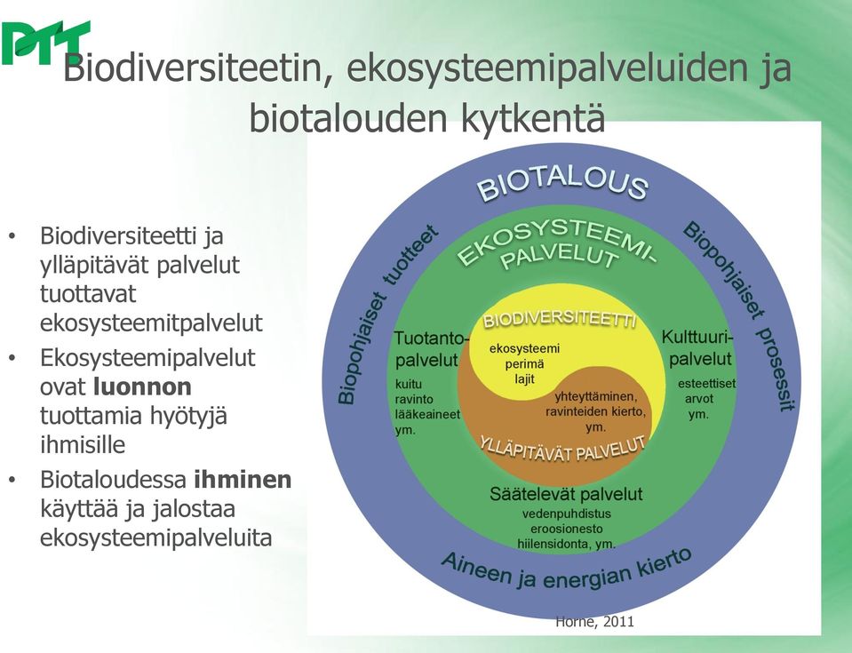 ekosysteemitpalvelut Ekosysteemipalvelut ovat luonnon tuottamia