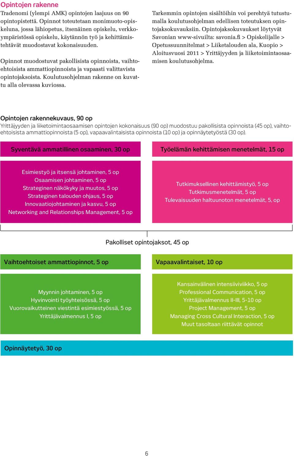 Opinnot muodostuvat pakollisista opinnoista, vaihtoehtoisista ammattiopinnoista ja vapaasti valittavista opintojaksoista. Koulutusohjelman rakenne on kuvattu alla olevassa kuviossa.