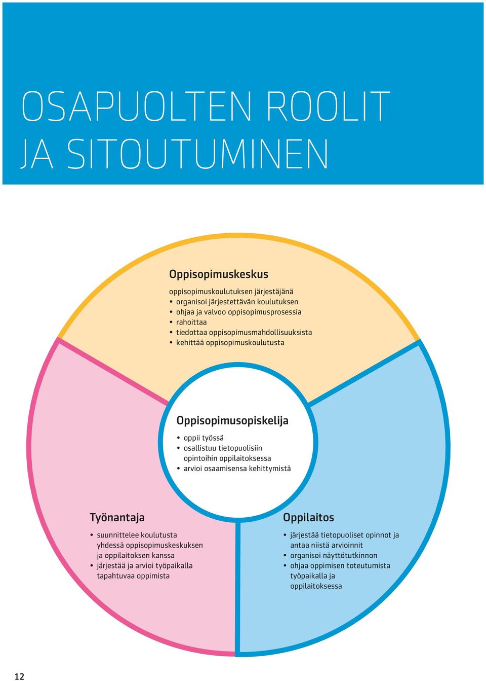 oppilaitoksessa arvioi osaamisensa kehittymistä Työnantaja suunnittelee koulutusta yhdessä oppisopimuskeskuksen ja oppilaitoksen kanssa järjestää ja arvioi