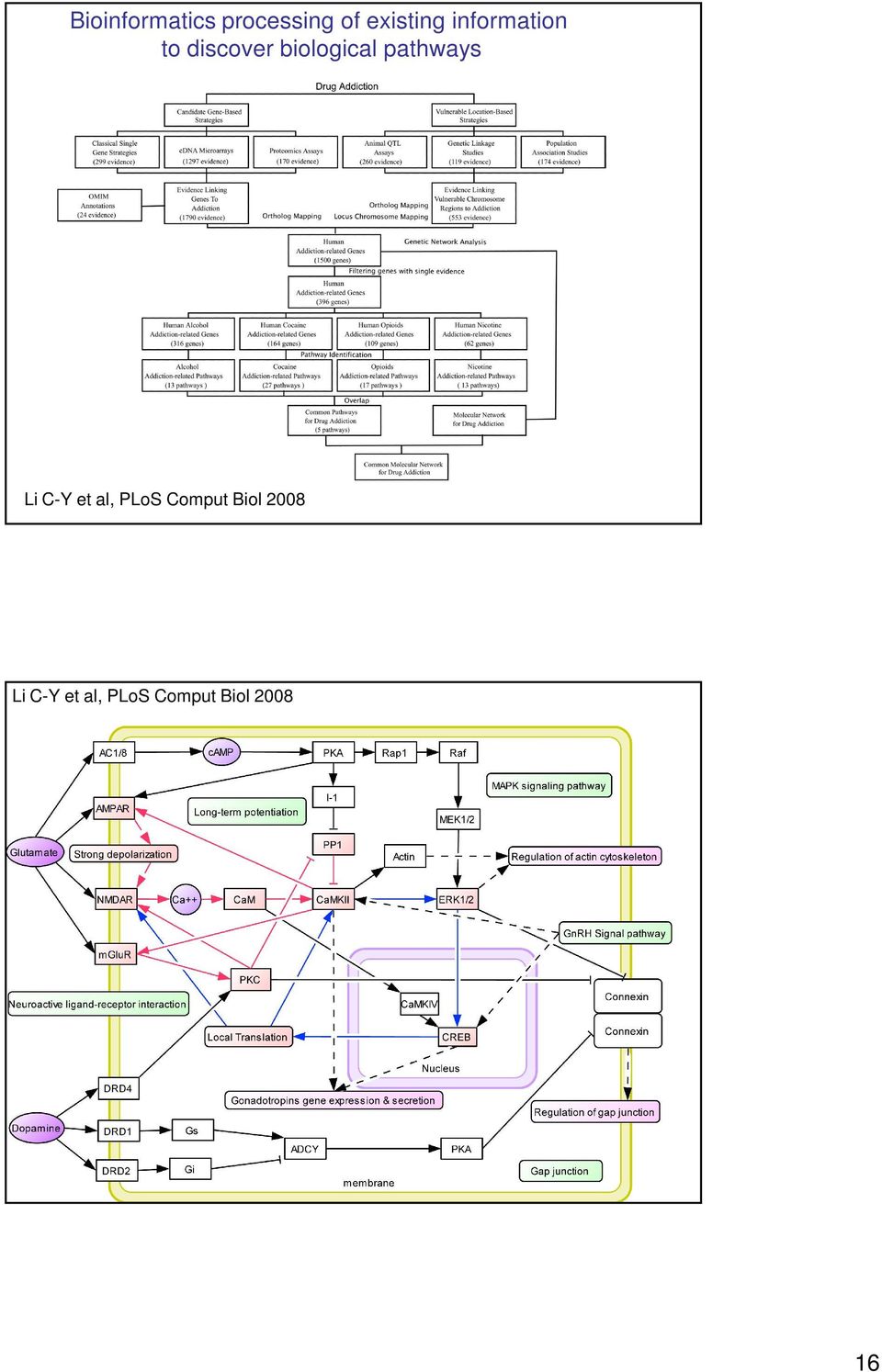 pathways Li C-Y et al, PLoS Comput