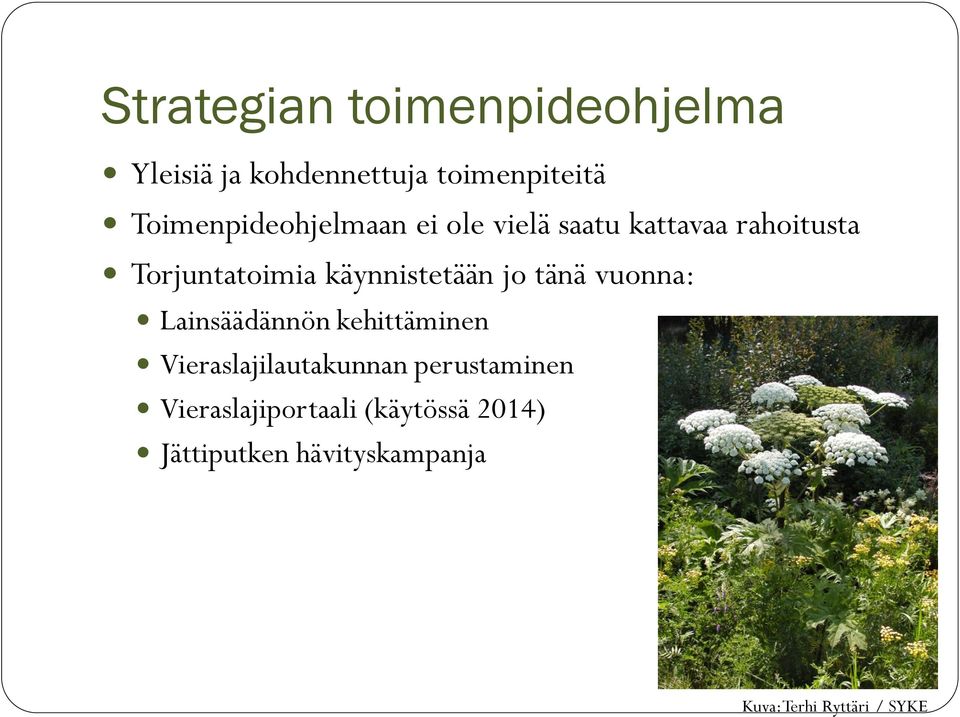 käynnistetään jo tänä vuonna: Lainsäädännön kehittäminen Vieraslajilautakunnan