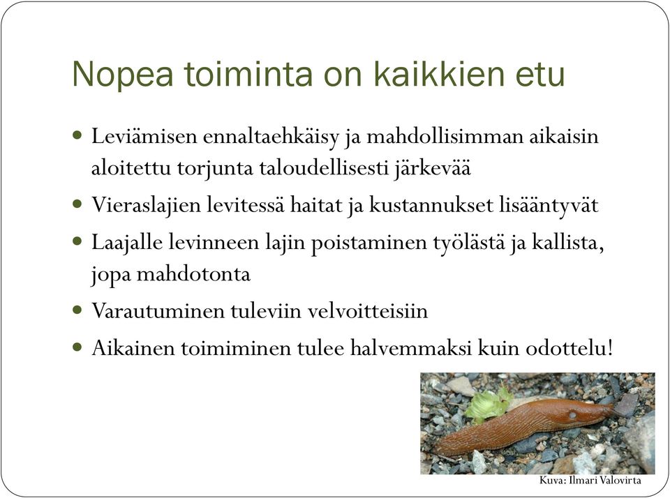 Laajalle levinneen lajin poistaminen työlästä ja kallista, jopa mahdotonta Varautuminen