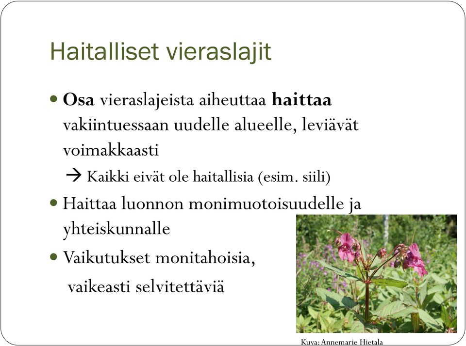 haitallisia (esim.