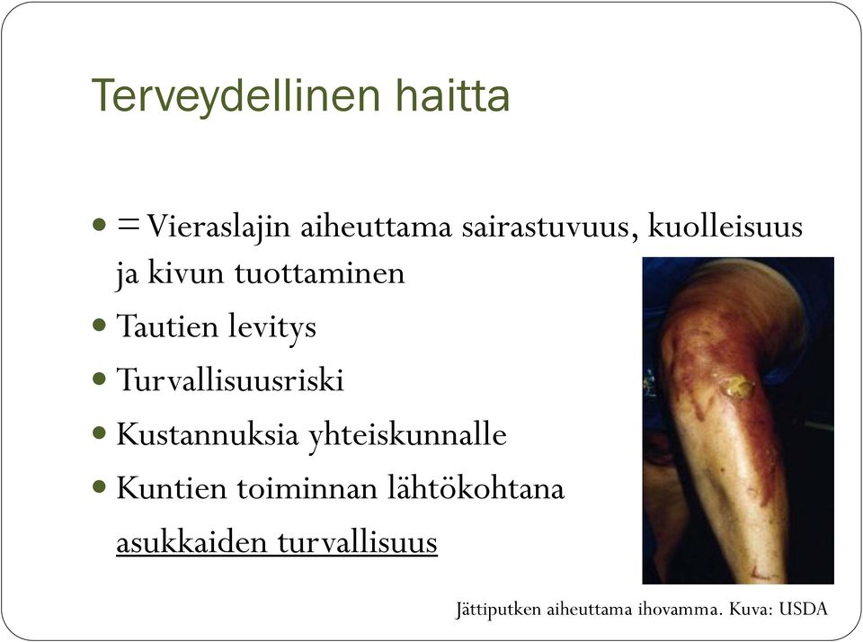 Turvallisuusriski Kustannuksia yhteiskunnalle Kuntien toiminnan