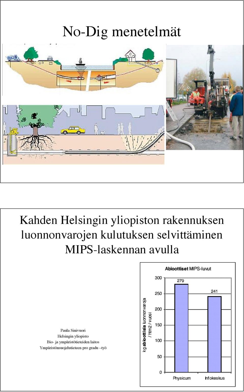 MIPS-laskennan avulla Paula Sinivuori Helsingin