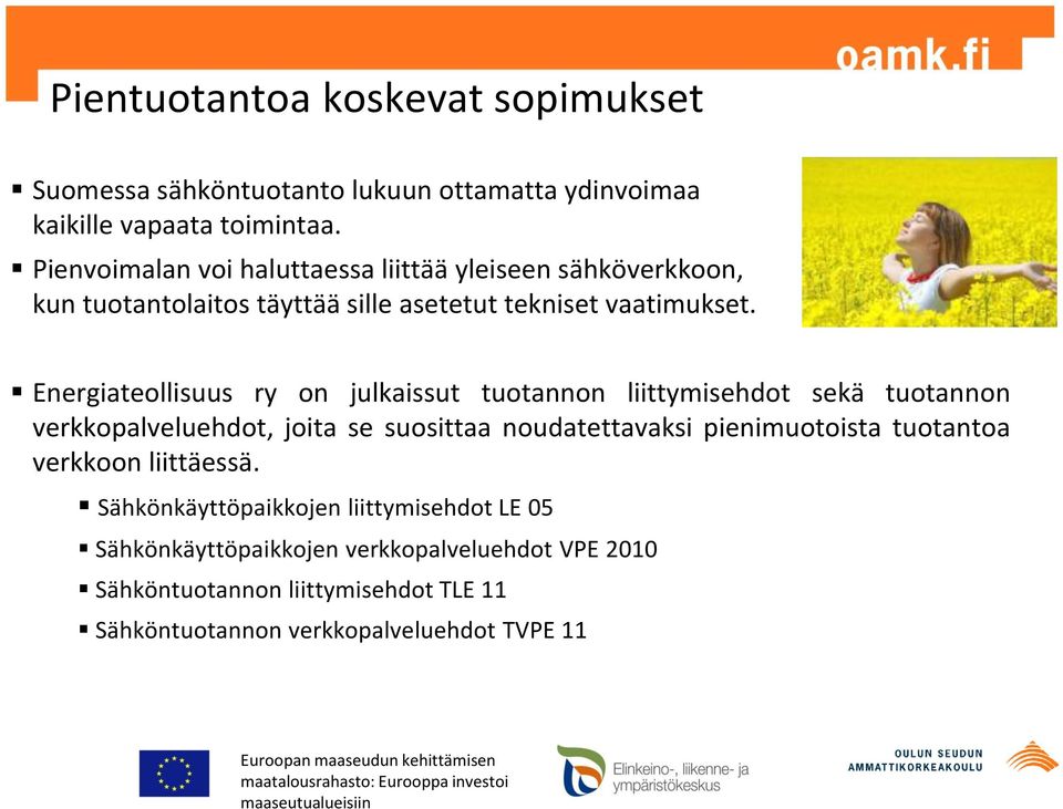 on Energiateollisuus ry on julkaissut tuotannon liittymisehdot sekä tuotannon verkkopalveluehdot, joita se suosittaa noudatettavaksi pienimuotoista