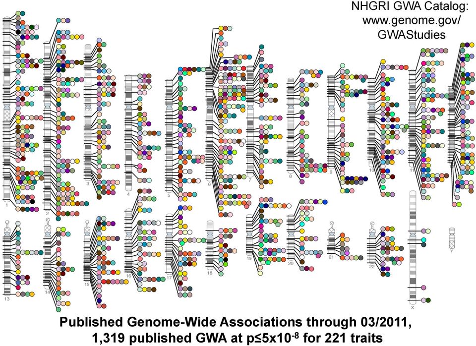 Genome-Wide Associations through