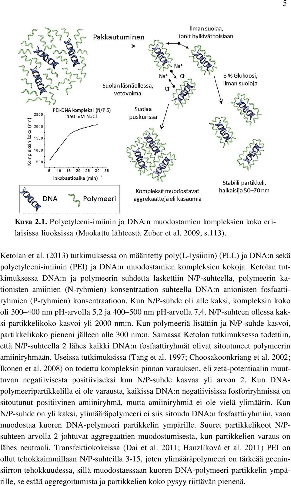 Ketolan tutkimuksessa DNA:n ja polymeerin suhdetta laskettiin N/P-suhteella, polymeerin kationisten amiinien (N-ryhmien) konsentraation suhteella DNA:n anionisten fosfaattiryhmien (P-ryhmien)