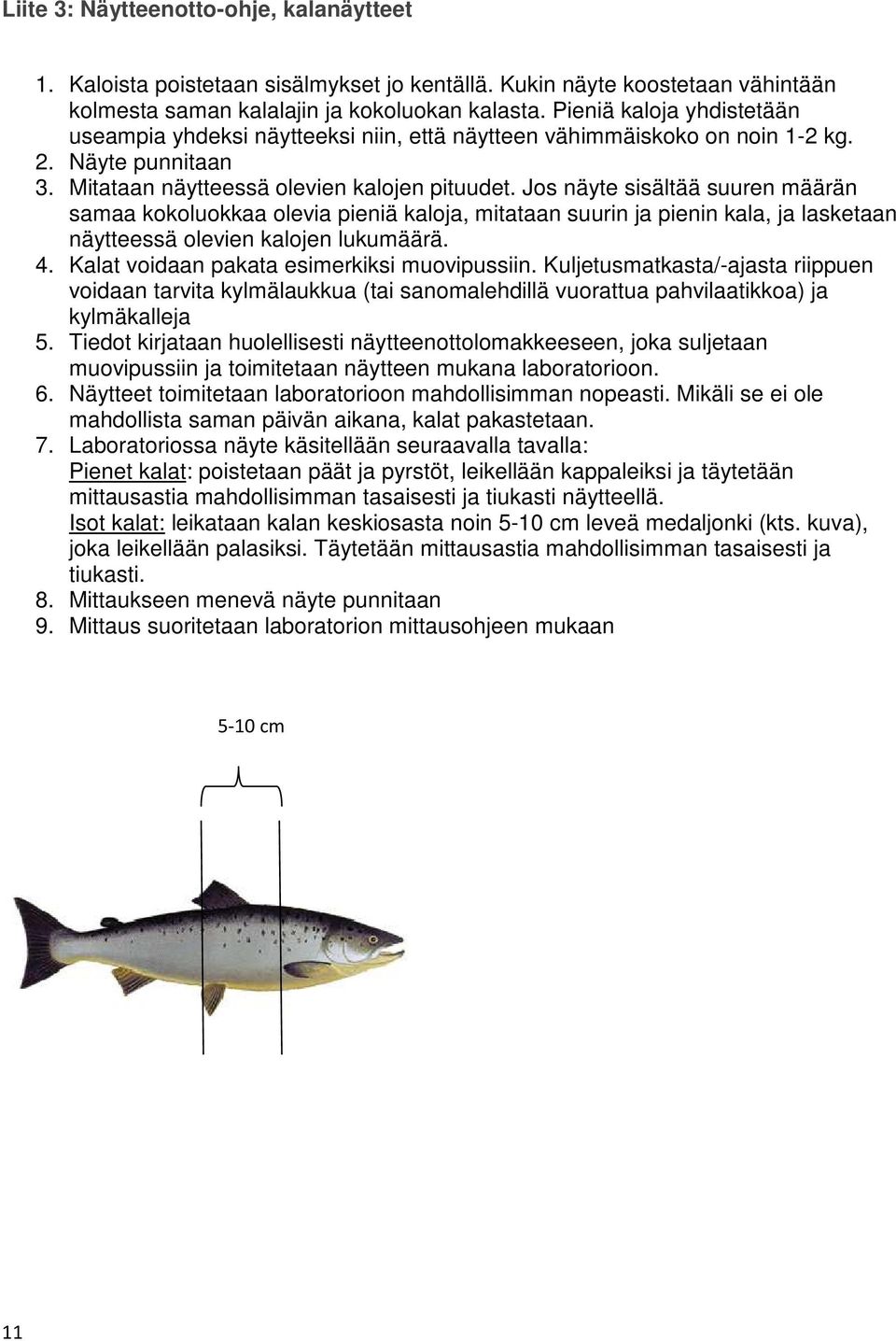 Jos näyte sisältää suuren määrän samaa kokoluokkaa olevia pieniä kaloja, mitataan suurin ja pienin kala, ja lasketaan näytteessä olevien kalojen lukumäärä. 4.