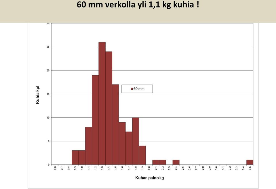 yli 1,1