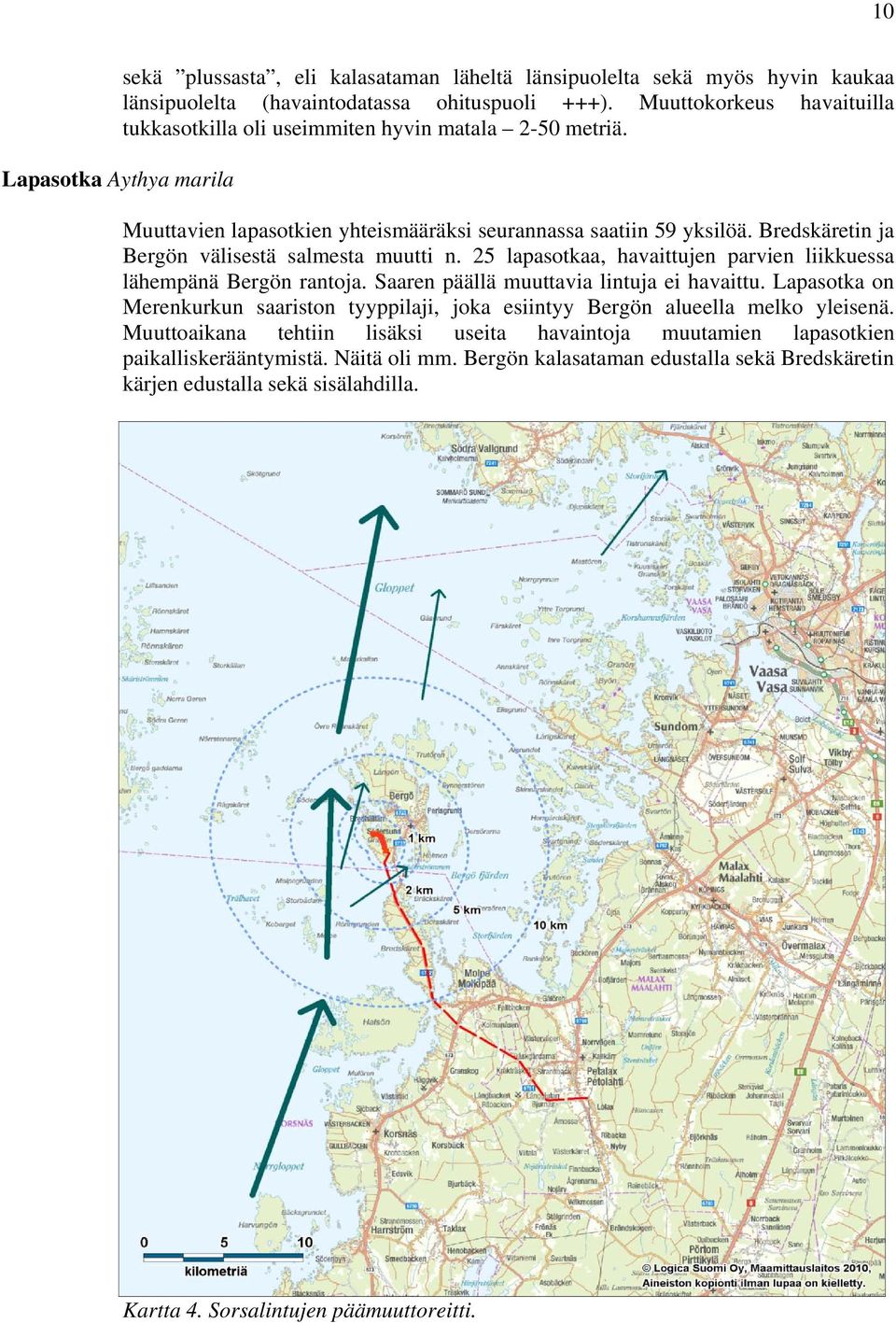 Bredskäretin ja Bergön välisestä salmesta muutti n. 25 lapasotkaa, havaittujen parvien liikkuessa lähempänä Bergön rantoja. Saaren päällä muuttavia lintuja ei havaittu.