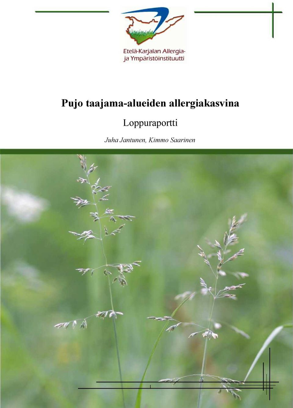 allergiakasvina