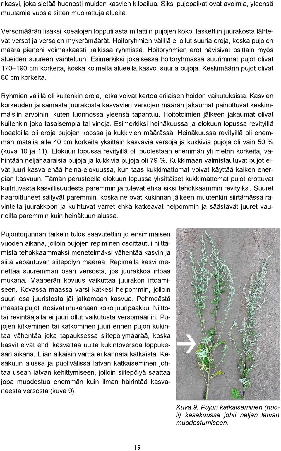 hävisivät osittain myös alueiden suureen vaihteluun Esimerkiksi jokaisessa hoitoryhmässä suurimmat pujot olivat 7 cm korkeita, koska kolmella alueella kasvoi suuria pujoja Keskimäärin pujot olivat 8