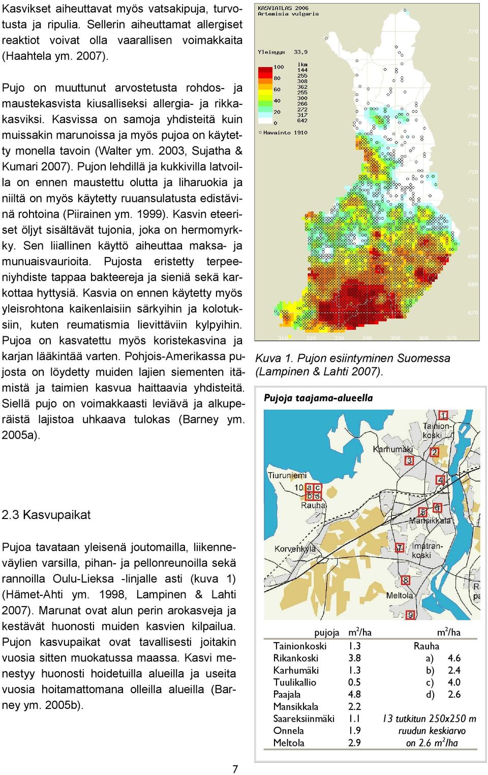 lehdillä ja kukkivilla latvoil la on ennen maustettu olutta ja liharuokia ja niiltä on myös käytetty ruuansulatusta edistävi nä rohtoina (Piirainen ym ) Kasvin eteeri set öljyt sisältävät tujonia,