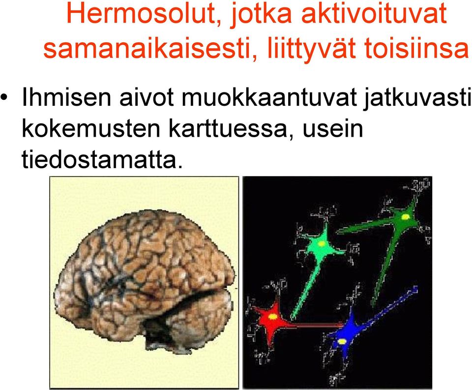 Ihmisen aivot muokkaantuvat