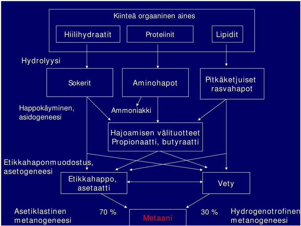 butyraatti Pitkäketjuiset rasvahapot Etikkahaponmuodostus, asetogeneesi Etikkahappo,