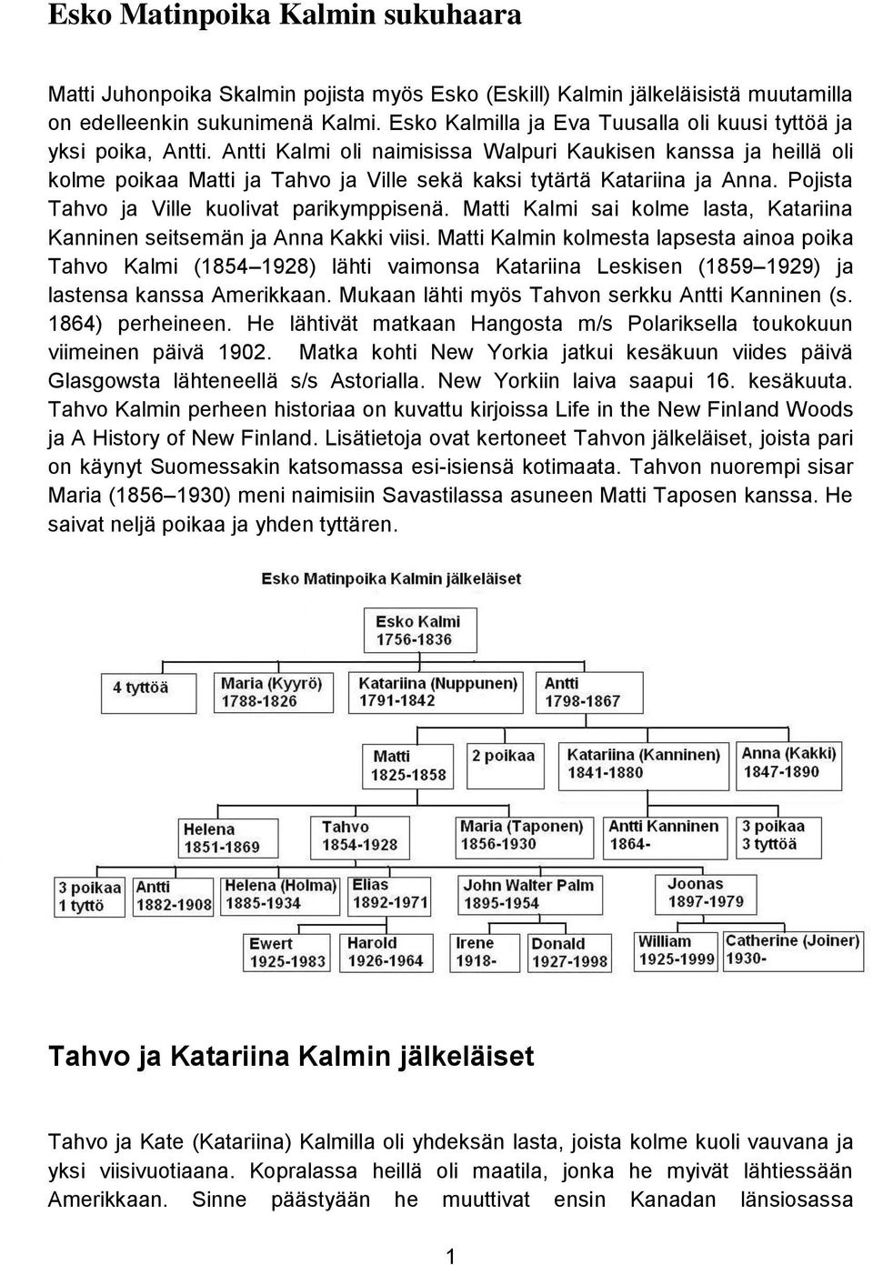 Antti Kalmi oli naimisissa Walpuri Kaukisen kanssa ja heillä oli kolme poikaa Matti ja Tahvo ja Ville sekä kaksi tytärtä Katariina ja Anna. Pojista Tahvo ja Ville kuolivat parikymppisenä.