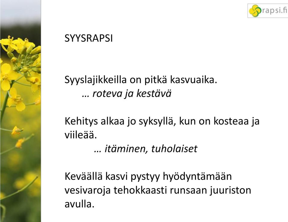 kosteaa ja viileää.