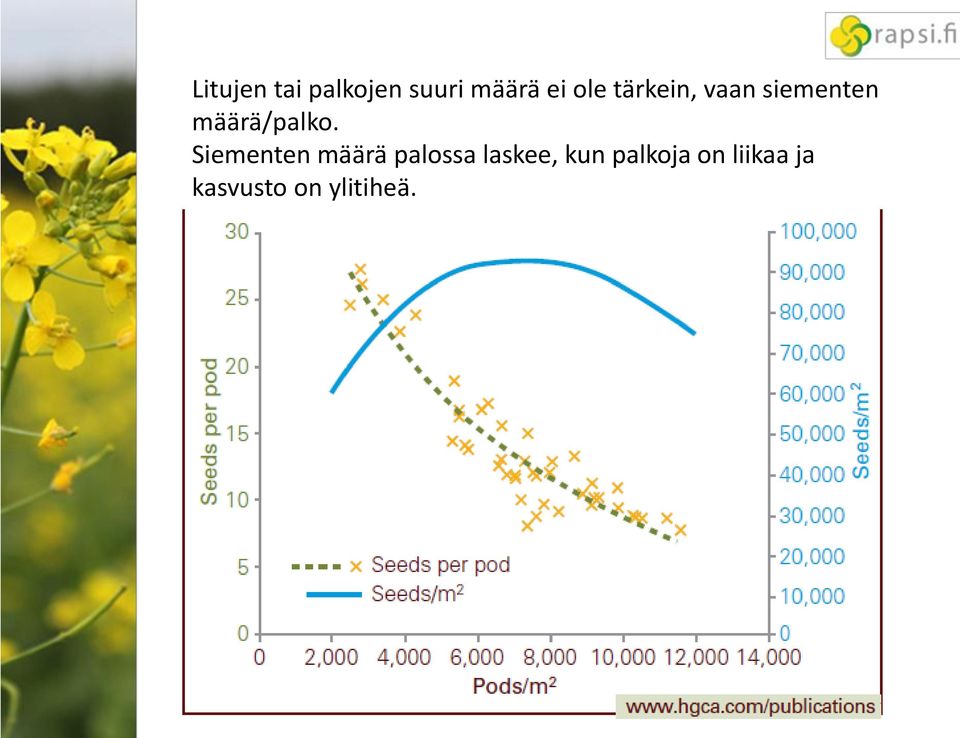 määrä/palko.