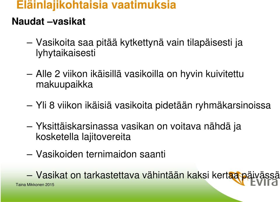 ikäisiä vasikoita pidetään ryhmäkarsinoissa Yksittäiskarsinassa vasikan on voitava nähdä ja