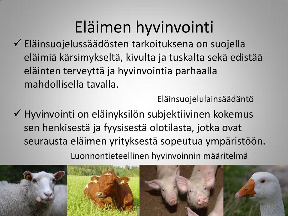 Eläinsuojelulainsäädäntö Hyvinvointi on eläinyksilön subjektiivinen kokemus sen henkisestä ja