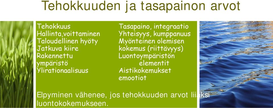 Yhteisyys, kumppanuus Myönteinen olemisen kokemus (riittävyys) Luontoympäristön