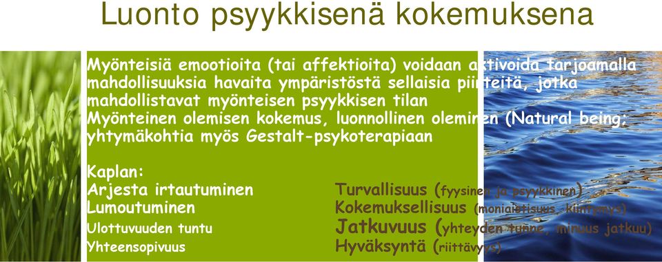 (Natural being; yhtymäkohtia myös Gestalt-psykoterapiaan Kaplan: Arjesta irtautuminen Lumoutuminen Ulottuvuuden tuntu Yhteensopivuus
