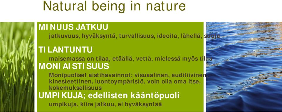 Monipuoliset aistihavainnot; visuaalinen, auditiivinen, kinesteettinen, luontoympäristö, voin
