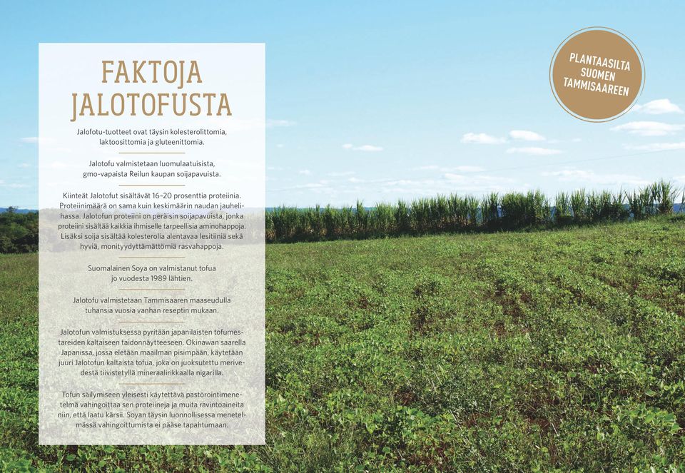 Proteiinimäärä on sama kuin keskimäärin naudan jauhelihassa. Jalotofun proteiini on peräisin soijapavuista, jonka proteiini sisältää kaikkia ihmiselle tarpeellisia aminohappoja.