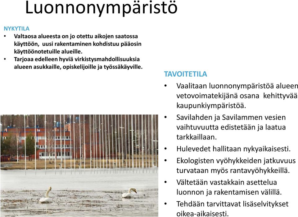 TAVOITETILA Vaalitaan luonnonympäristöä alueen vetovoimatekijänä osana kehittyvää kaupunkiympäristöä.