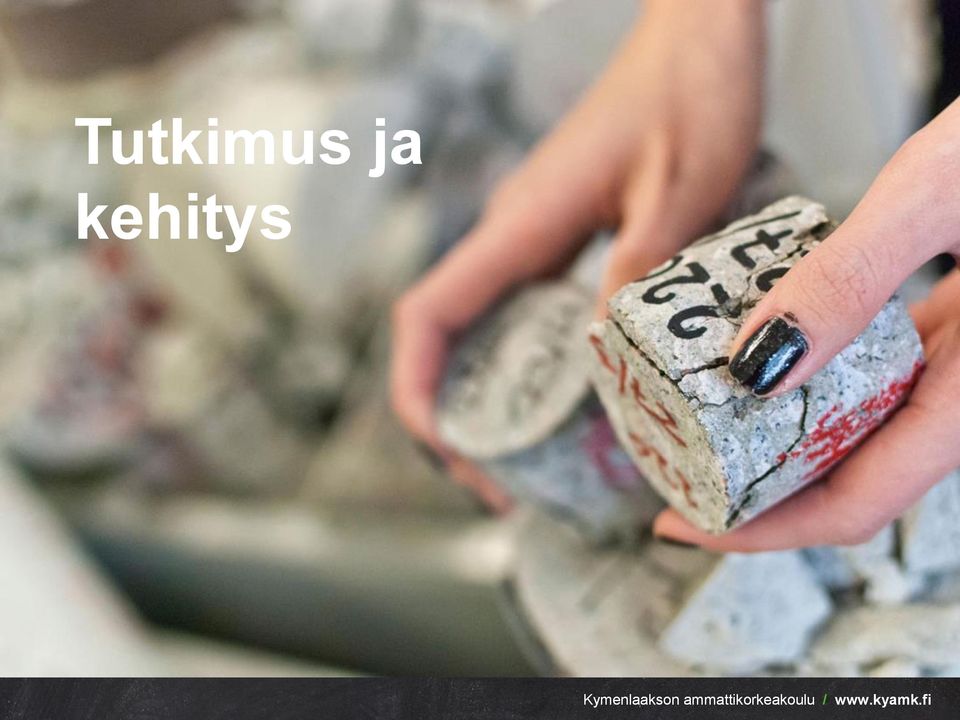 kehitys