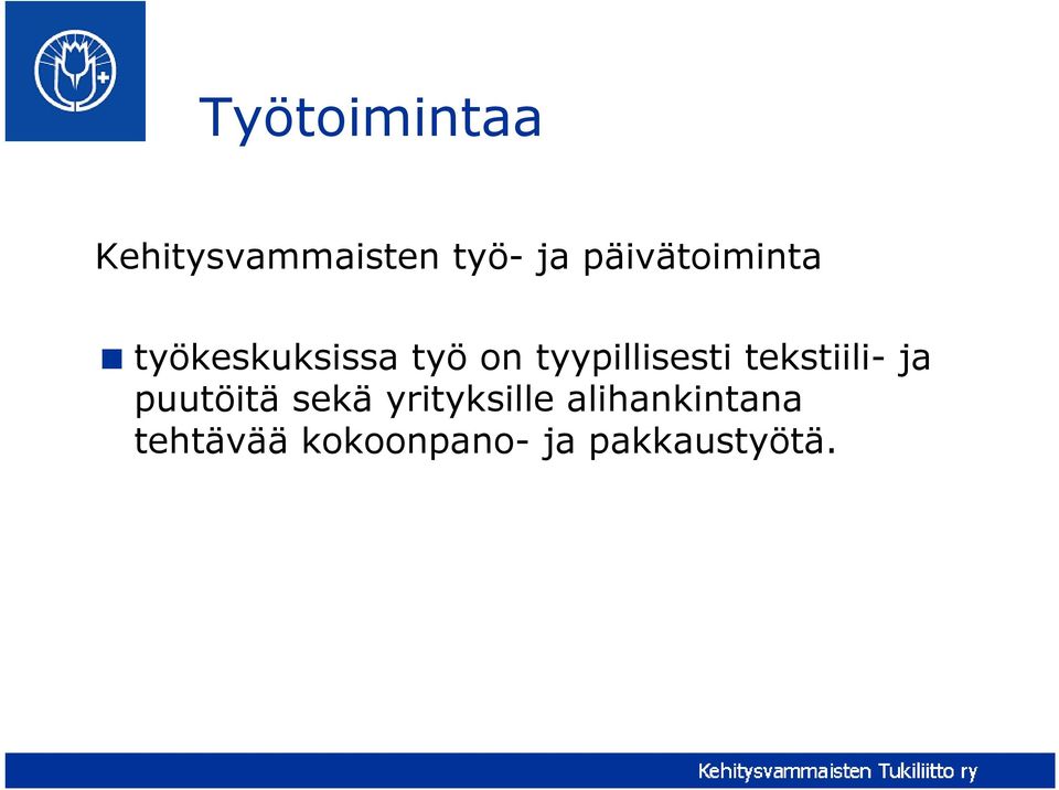 tyypillisesti tekstiili- ja puutöitä sekä