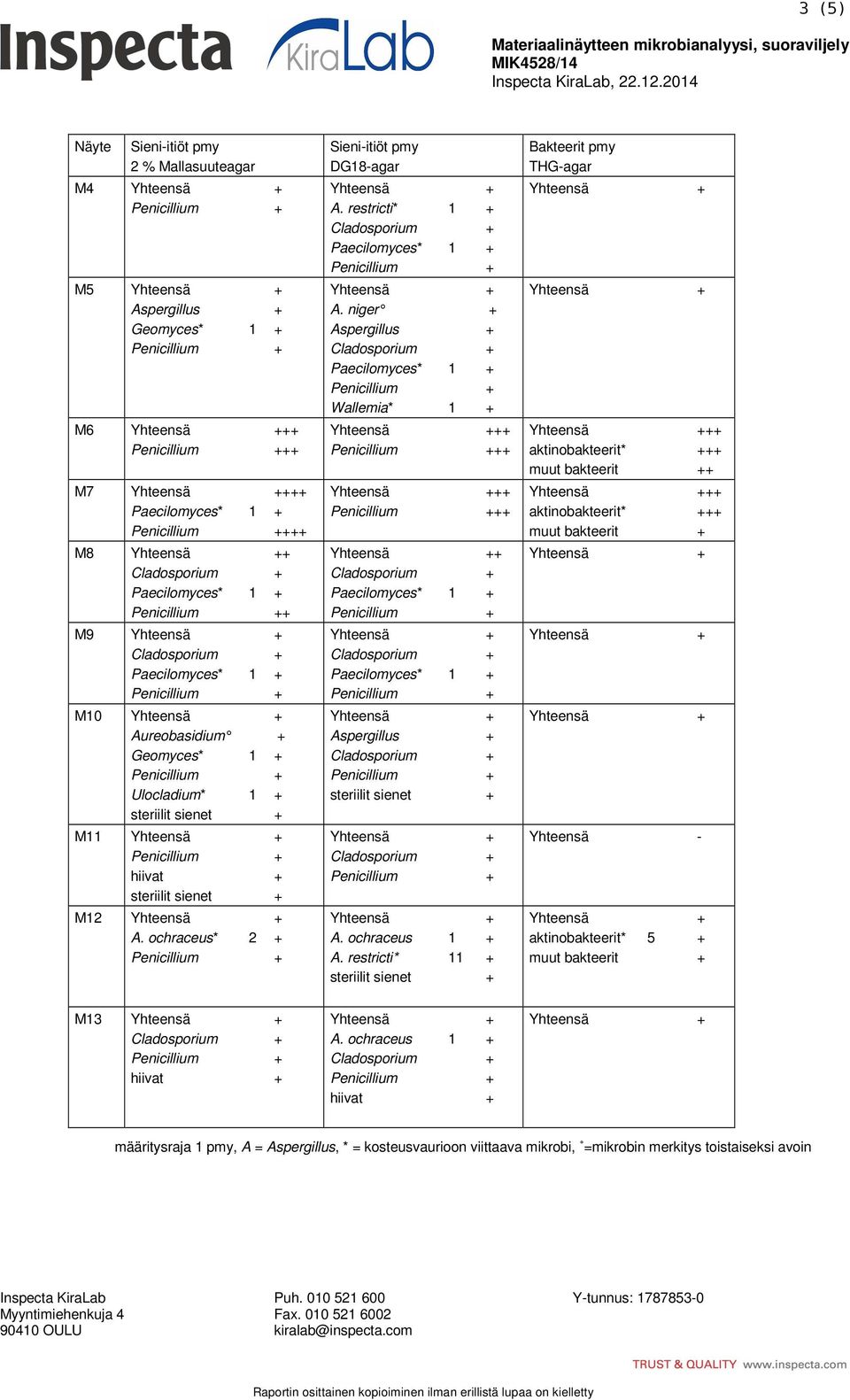 Ulocladium* 1 + steriilit sienet + M11 hiivat + steriilit sienet + M12 A. ochraceus* 2 + Sieni-itiöt pmy DG18-agar A. restricti* 1 + Paecilomyces* 1 + A.