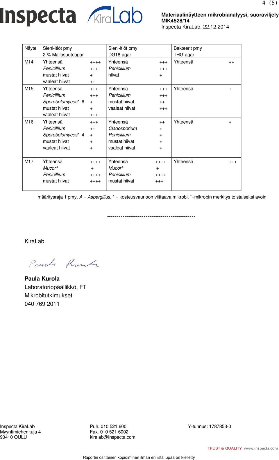 + vaaleat hiivat + Sieni-itiöt pmy DG18-agar ++ ++ hiivat + ++ ++ mustat hiivat ++ vaaleat hiivat +++ + mustat hiivat + vaaleat hiivat + Bakteerit pmy THG-agar + M17 +++ Mucor + +++ mustat hiivat