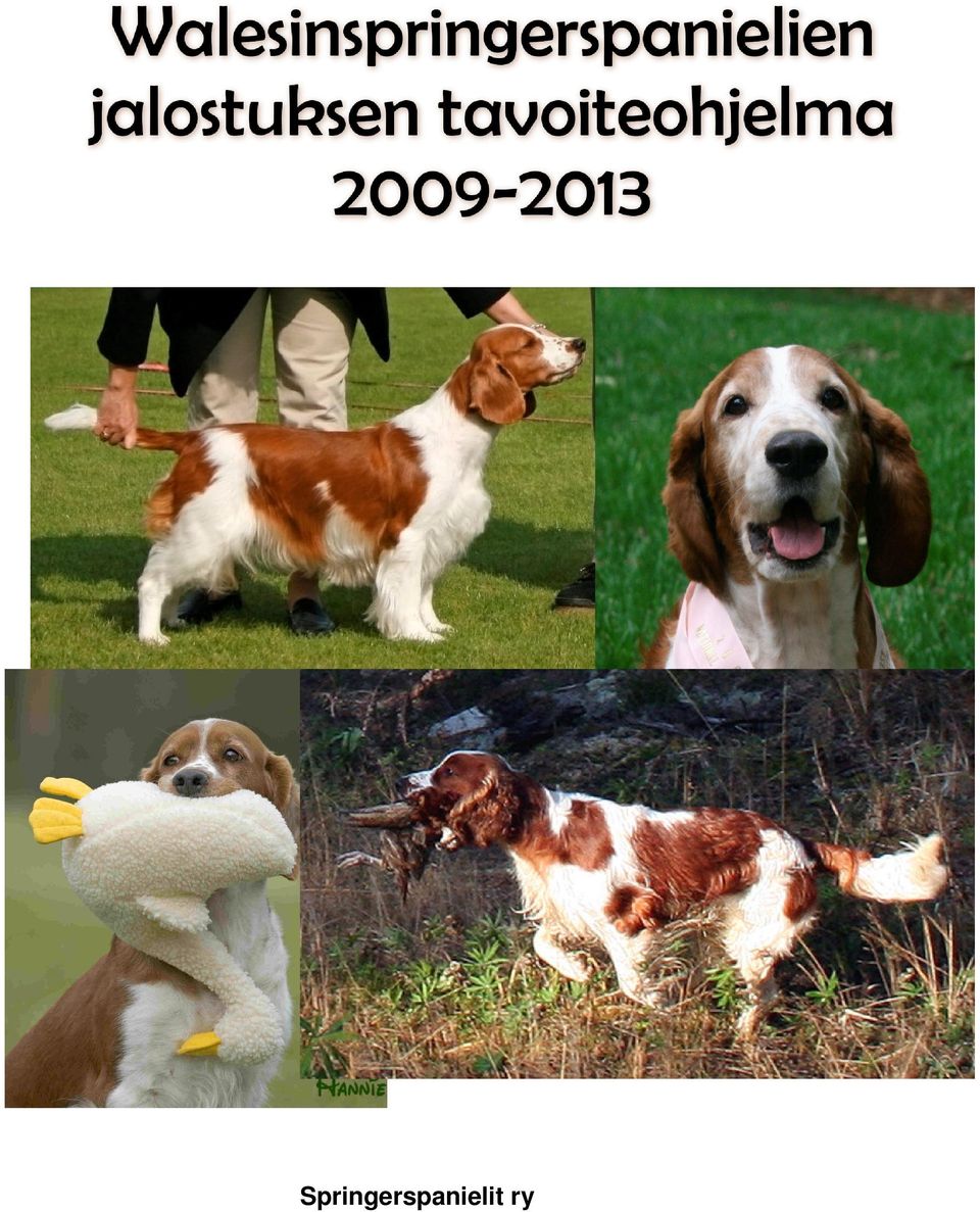 rotukohtainen jalostuksen