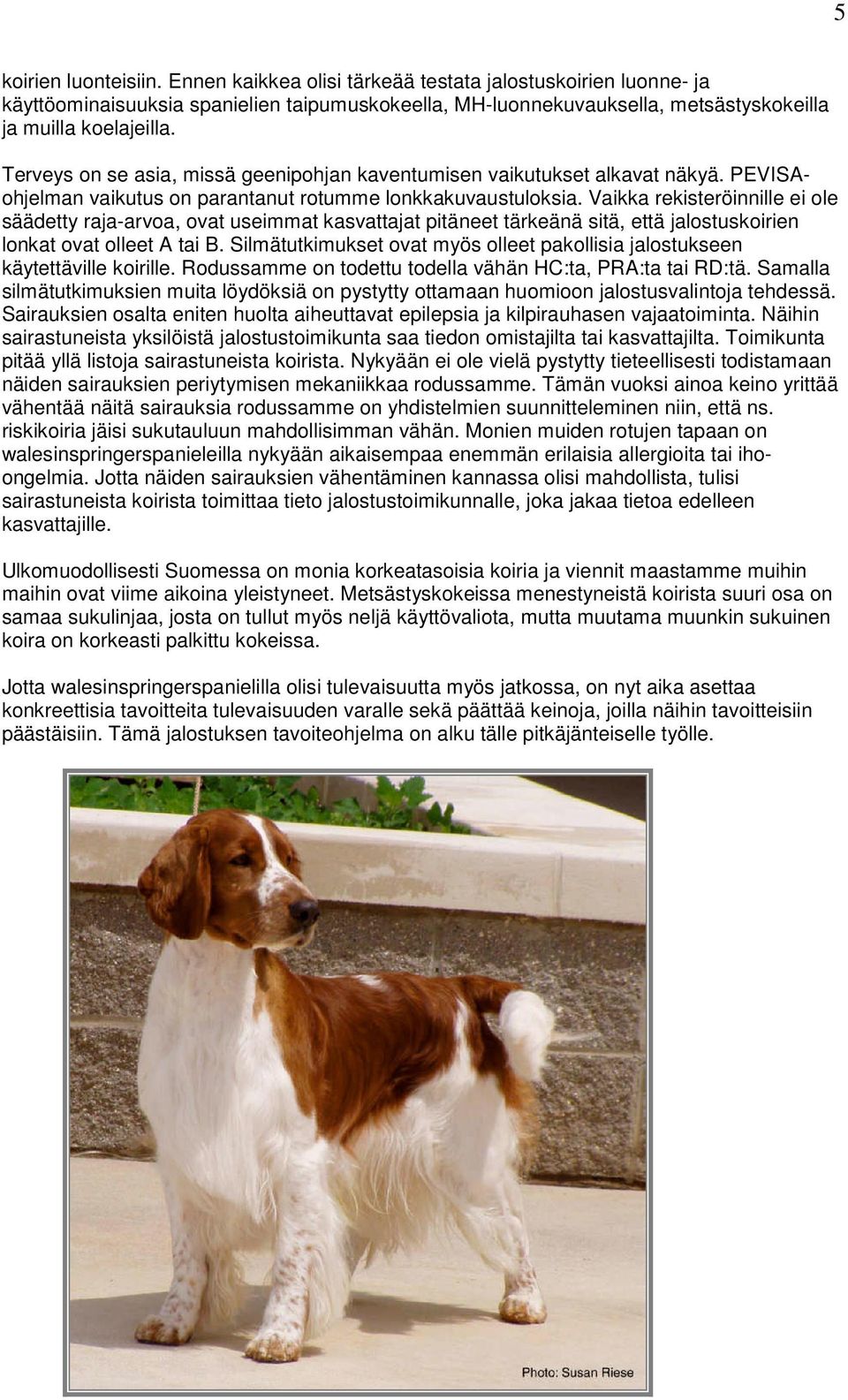 Vaikka rekisteröinnille ei ole säädetty raja-arvoa, ovat useimmat kasvattajat pitäneet tärkeänä sitä, että jalostuskoirien lonkat ovat olleet A tai B.