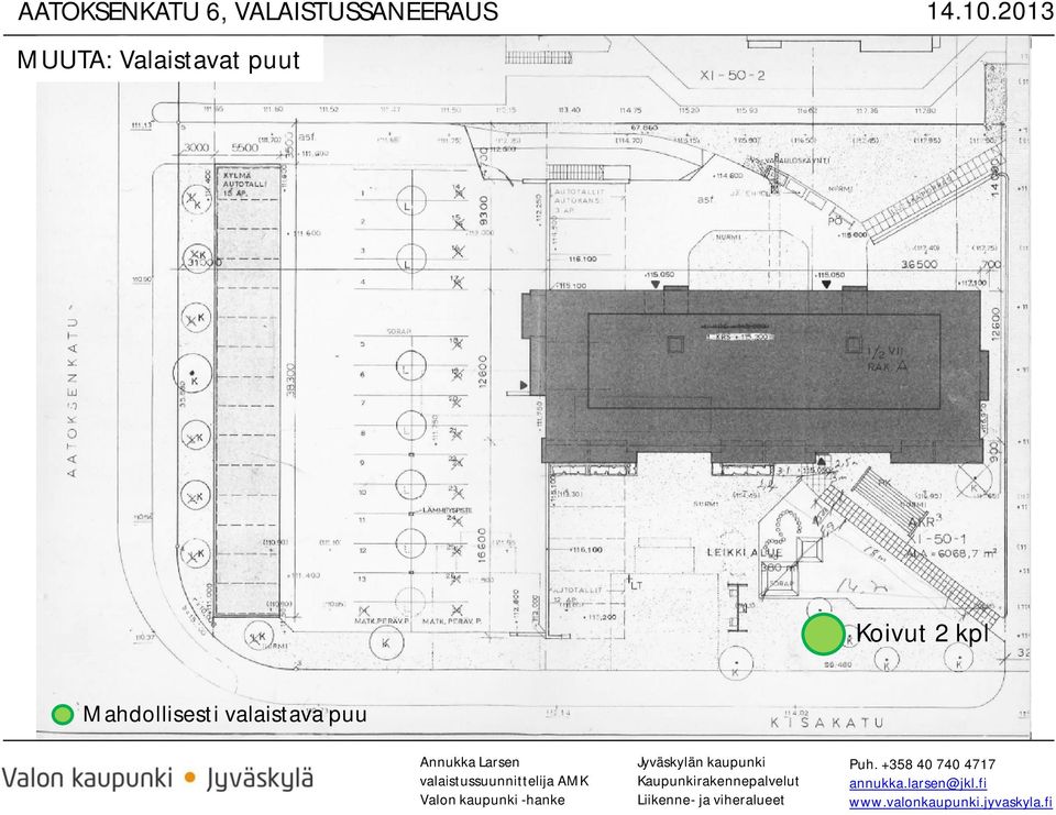 Koivut 2 kpl