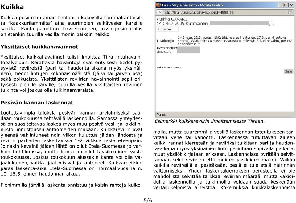 Yksittäiset kuikkahavainnot Yksittäiset kuikkahavainnot tulisi ilmoittaa Tiira-lintuhavaintopalveluun.