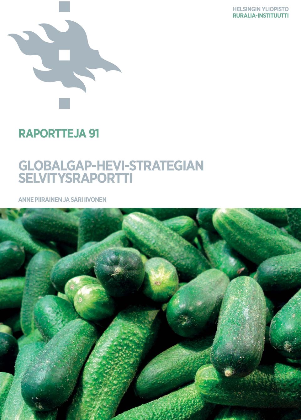 RAPORTTEJA 91