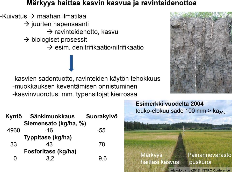 denitrifikaatio/nitrifikaatio -kasvien sadontuotto, ravinteiden käytön tehokkuus -muokkauksen keventämisen onnistuminen -kasvinvuorotus: mm.