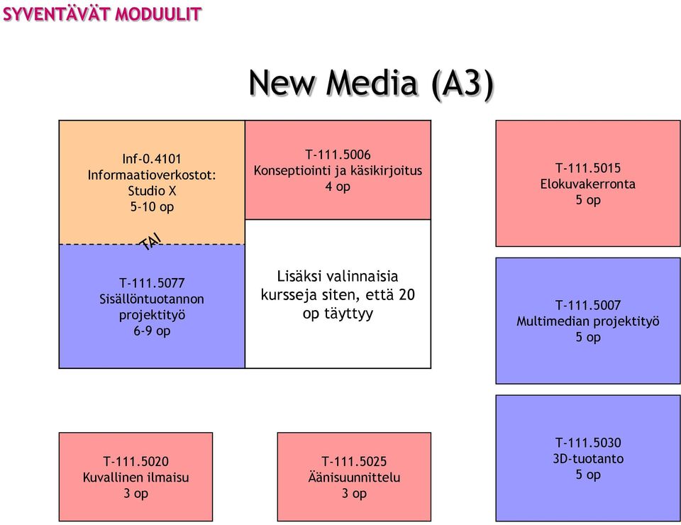 5077 Sisällöntuotannon projektityö 6-9 op Lisäksi valinnaisia kursseja siten, että 20 op