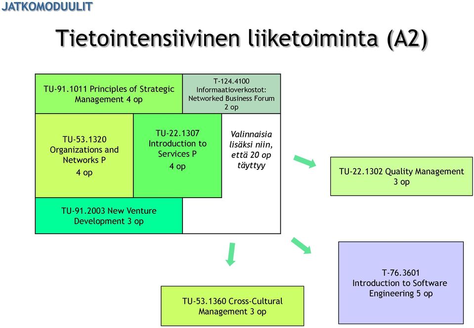 1307 Introduction to Services P Valinnaisia lisäksi niin, että 20 op täyttyy TU-22.