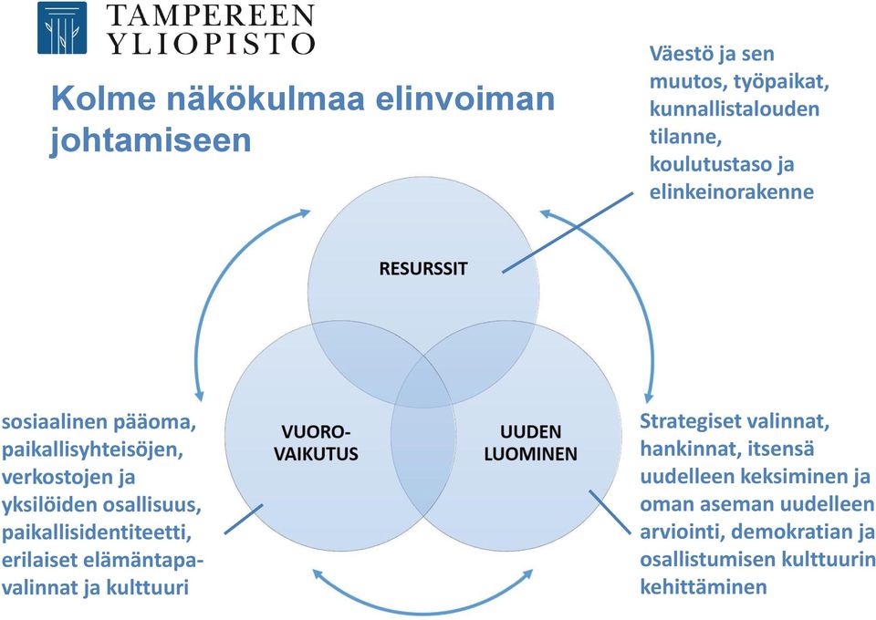 osallisuus, paikallisidentiteetti, erilaiset elämäntapavalinnat ja kulttuuri Strategiset valinnat,