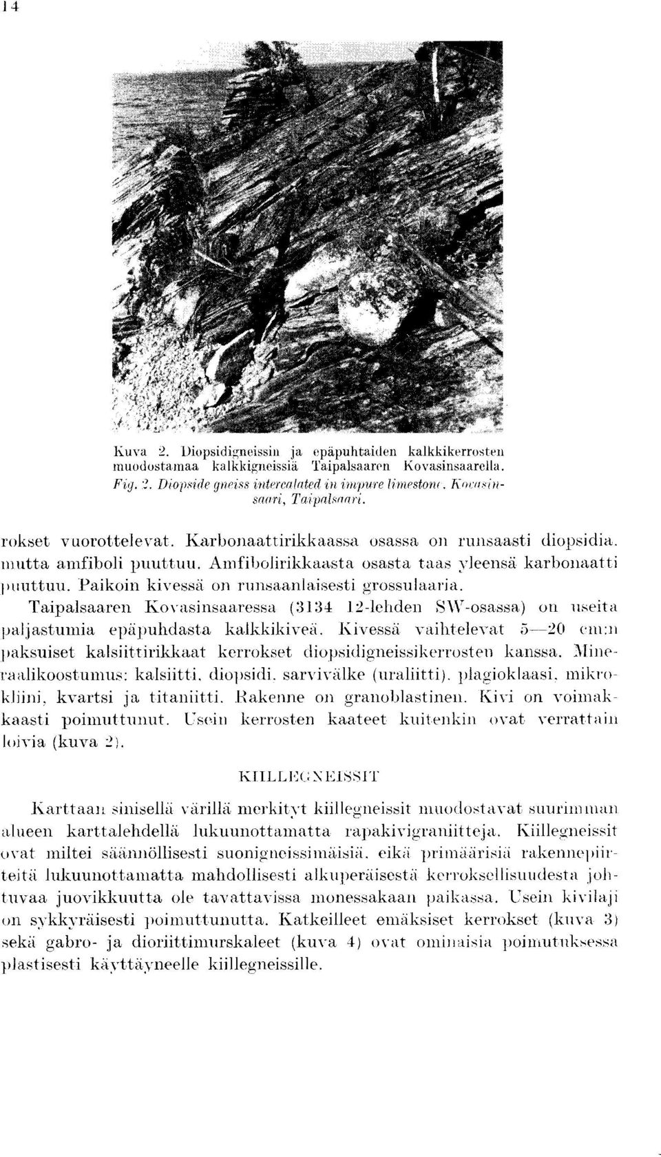 Paikoin kivessd on runsaanlaisesti grossulaaria. Taipalsaaren Kovasinsaaressa (3134 12-leliden 5\V-osassa) on useita paijastumia epapuhdasta kalkkikivea.