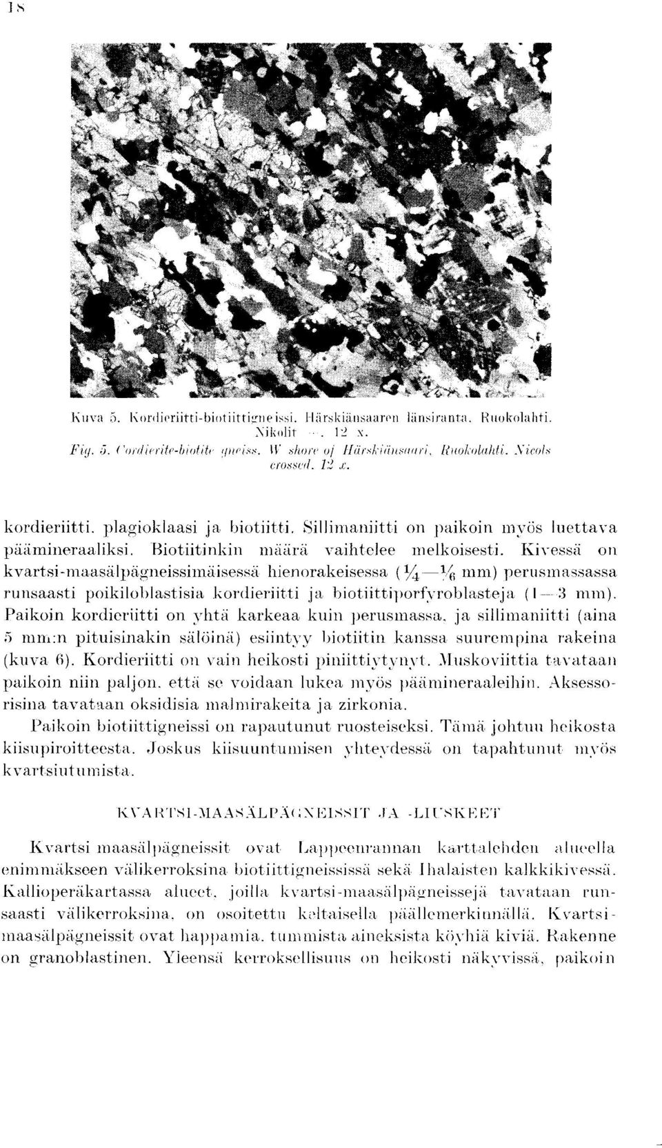 Kivessii on kvartsi-maasiilpiigneissiiniiisessii hienorakeisessa (I/4 l,f tnm) perusmassassa runsaasti poikiloblastisia kordieriitti ja biotiittiporfti - roblasteja (1 :3 mm).