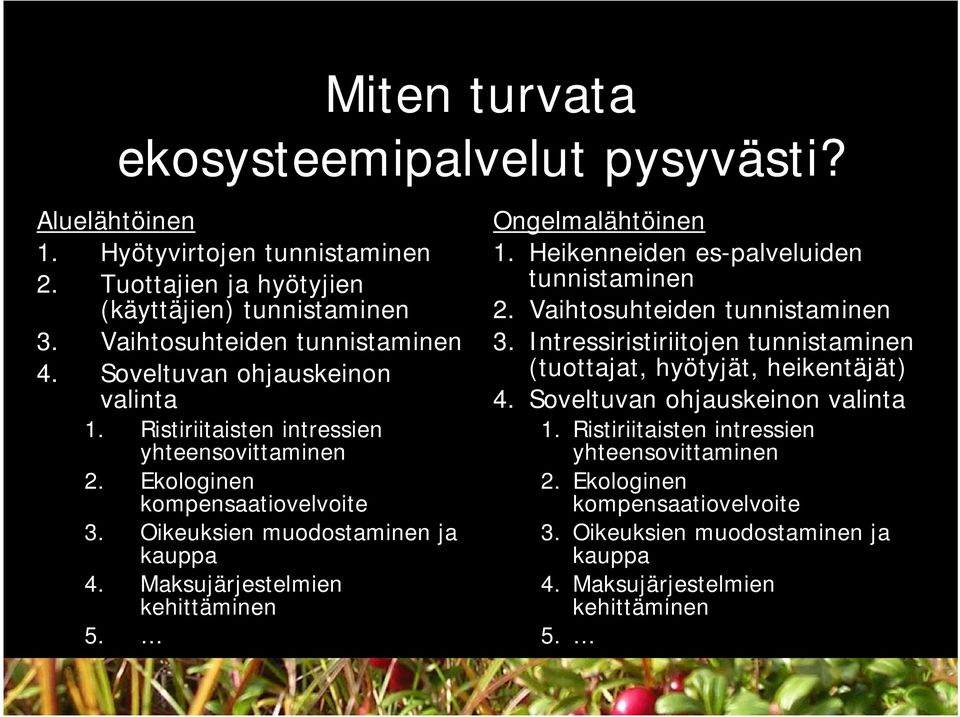 Maksujärjestelmien kehittäminen 5. Ongelmalähtöinen 1. Heikenneiden es-palveluiden tunnistaminen 2. Vaihtosuhteiden tunnistaminen 3.