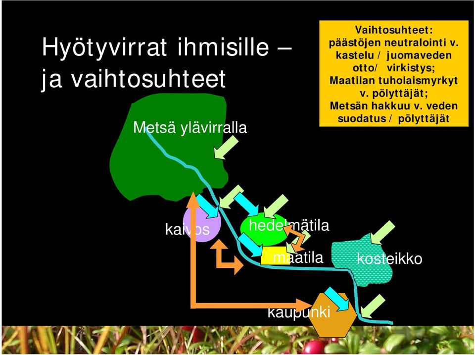 kastelu / juomaveden otto/ virkistys; Maatilan tuholaismyrkyt v.